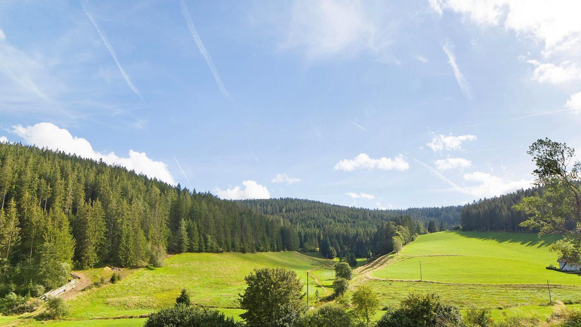 Апартаменты Haus Zum Sternen Vohrenbach Экстерьер фото